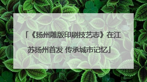 《扬州雕版印刷技艺志》在江苏扬州首发 传承城市记忆