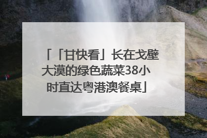 「甘快看」长在戈壁大漠的绿色蔬菜38小时直达粤港澳餐桌