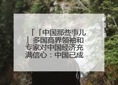 「中国那些事儿」多国商界领袖和专家对中国经济充满信心：中国已成为全球创新中心