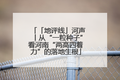 「地评线」河声丨从“一粒种子”看河南“两高四着力”的落地生根