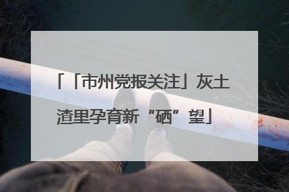 「市州党报关注」灰土渣里孕育新“硒”望