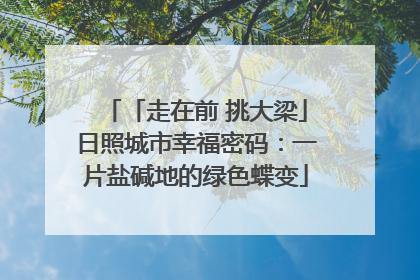 「走在前 挑大梁」日照城市幸福密码：一片盐碱地的绿色蝶变