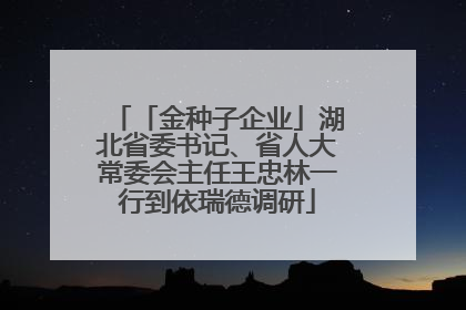 「金种子企业」湖北省委书记、省人大常委会主任王忠林一行到依瑞德调研