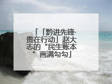 「黔进先锋·贵在行动」赵大志的“民生账本”画满勾勾