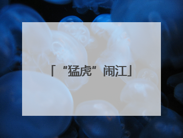 “猛虎”闹江