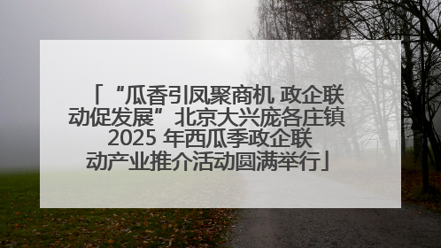 “瓜香引凤聚商机 政企联动促发展”北京大兴庞各庄镇 2025 年西瓜季政企联动产业推介活动圆满举行