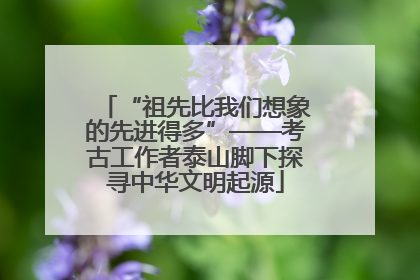 “祖先比我们想象的先进得多”——考古工作者泰山脚下探寻中华文明起源