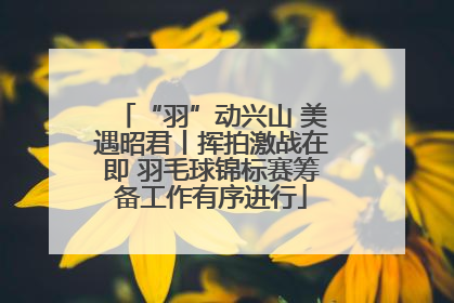 “羽”动兴山 美遇昭君丨挥拍激战在即 羽毛球锦标赛筹备工作有序进行