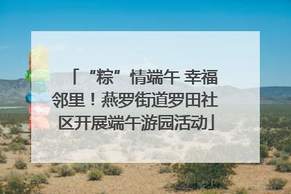 “粽”情端午 幸福邻里！燕罗街道罗田社区开展端午游园活动