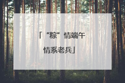 “粽”情端午 情系老兵