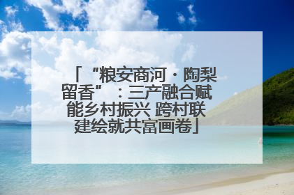 “粮安商河・陶梨留香”：三产融合赋能乡村振兴 跨村联建绘就共富画卷
