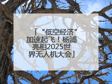 “低空经济”加速起飞！杨浦亮相2025世界无人机大会