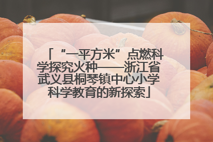 “一平方米”点燃科学探究火种——浙江省武义县桐琴镇中心小学科学教育的新探索