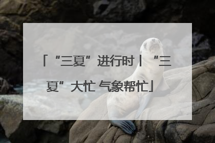 “三夏”进行时丨“三夏”大忙 气象帮忙