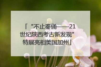 “不止秦俑——21世纪陕西考古新发现”特展亮相美国加州