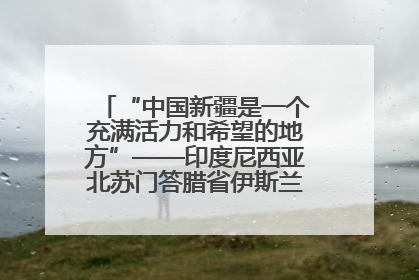 “中国新疆是一个充满活力和希望的地方”——印度尼西亚北苏门答腊省伊斯兰教代表团参访新疆