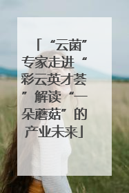 “云菌”专家走进“彩云英才荟”解读“一朵蘑菇”的产业未来