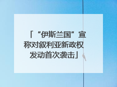 “伊斯兰国”宣称对叙利亚新政权发动首次袭击