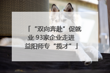 “双向奔赴”促就业 93家企业走进益阳师专“揽才”