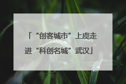 “创客城市”上虞走进“科创名城”武汉