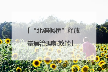 “北疆枫桥”释放基层治理新效能