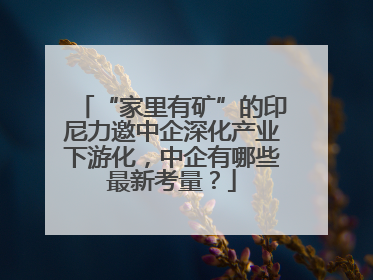 “家里有矿”的印尼力邀中企深化产业下游化，中企有哪些最新考量？