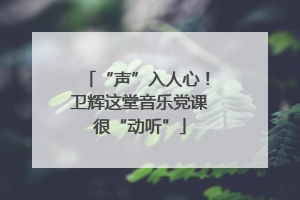 “声”入人心！卫辉这堂音乐党课很“动听”