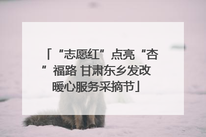 “志愿红”点亮“杏”福路 甘肃东乡发改暖心服务采摘节
