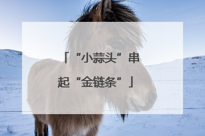 “小蒜头”串起“金链条”