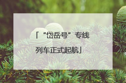 “岱岳号”专线列车正式起航