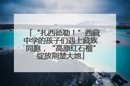 “扎西德勒！”西藏中学的孩子们遇上藏族同胞，“高原红石榴”绽放荆楚大地