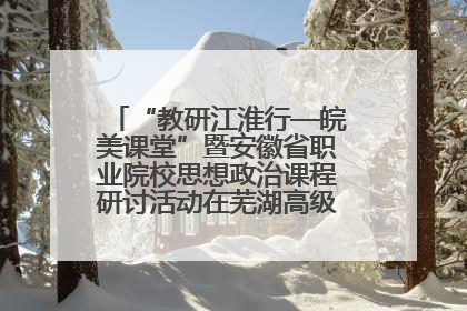 “教研江淮行—皖美课堂”暨安徽省职业院校思想政治课程研讨活动在芜湖高级职业技术学校举行