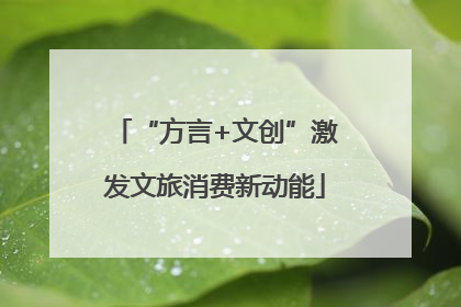 “方言+文创”激发文旅消费新动能