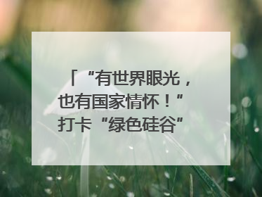 “有世界眼光，也有国家情怀！”打卡“绿色硅谷”，博主新解乐山｜网络名人四川行