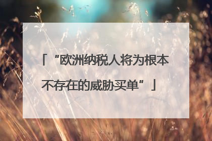 “欧洲纳税人将为根本不存在的威胁买单”