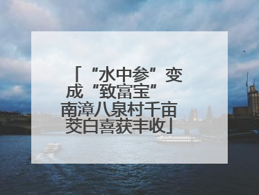 “水中参”变成“致富宝” 南漳八泉村千亩茭白喜获丰收