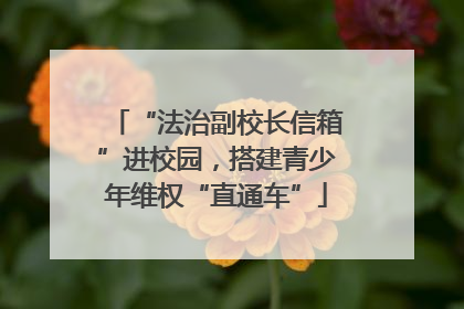 “法治副校长信箱”进校园，搭建青少年维权“直通车”