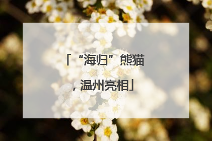 “海归”熊猫，温州亮相