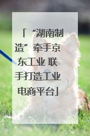 “湖南制造”牵手京东工业 联手打造工业电商平台