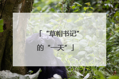 “草帽书记”的“一天”