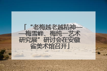 “老梅越老越精神——梅雪峰、梅纯一艺术研究展”研讨会在安徽省美术馆召开