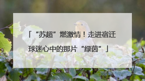 “苏超”燃激情！走进宿迁球迷心中的那片“绿茵”