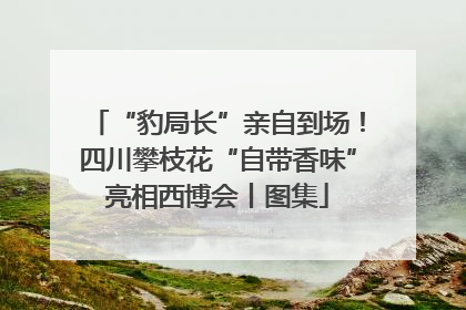 “豹局长”亲自到场！四川攀枝花“自带香味”亮相西博会丨图集