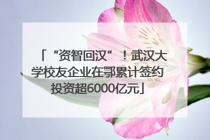 “资智回汉”！武汉大学校友企业在鄂累计签约投资超6000亿元
