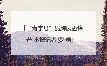 “青字号”品牌展露锋芒 本报记者 罗 珺