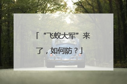 “飞蚁大军”来了，如何防？