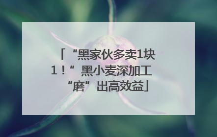 “黑家伙多卖1块1！”黑小麦深加工“磨”出高效益