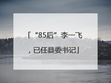 “85后”李一飞，已任县委书记