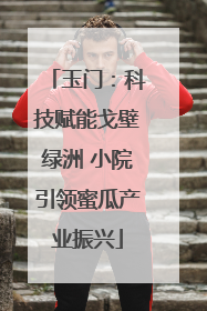 玉门：科技赋能戈壁绿洲 小院引领蜜瓜产业振兴