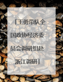王勇带队全国政协经济委员会调研组赴浙江调研